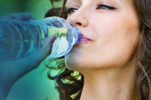 How Can Fulvic Minerals Enhance Your Day-To-Day Diet?